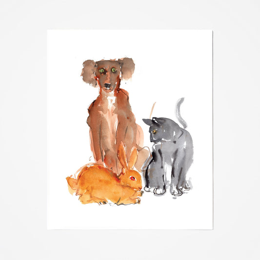 Pet Concerns